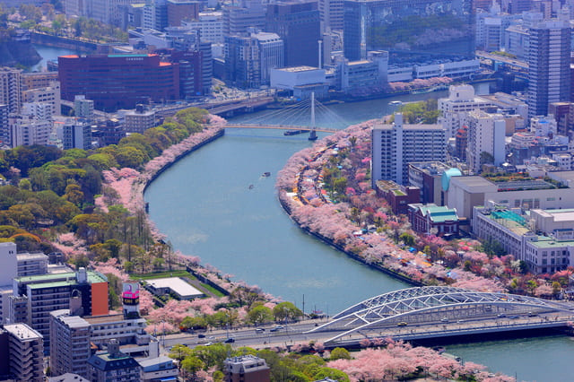 桜ノ宮駅周辺に住む際に気をつけること